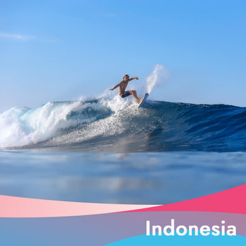 eSIM 1GB Data per Day in Indonesia