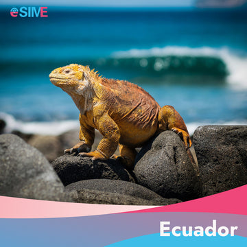 Best Ecuador eSIM Flexible Travel Data Plans (5GB-50GB)
