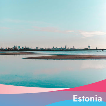 eSIM 1GB Data per Day in Estonia